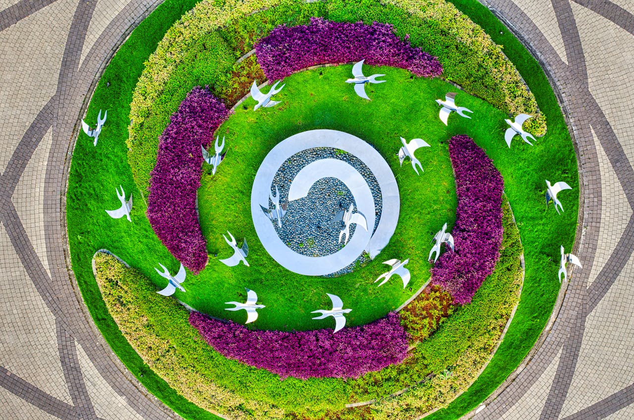 Native garden design at Mosman residence by Ximzik